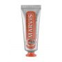 Marvis Ginger Mint Toothpaste Travel 25 ml.