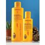 Seven Potions Beard Shampoo Woodland Harmony 250 ml.