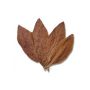 Taylor of Old Bond Street Tobacco Leaf Shower Gel 500 ml.